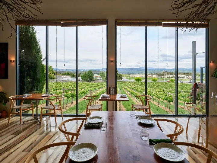 A dining room with timber furniture and floor-to-ceiling windows overlooking vineyard rows