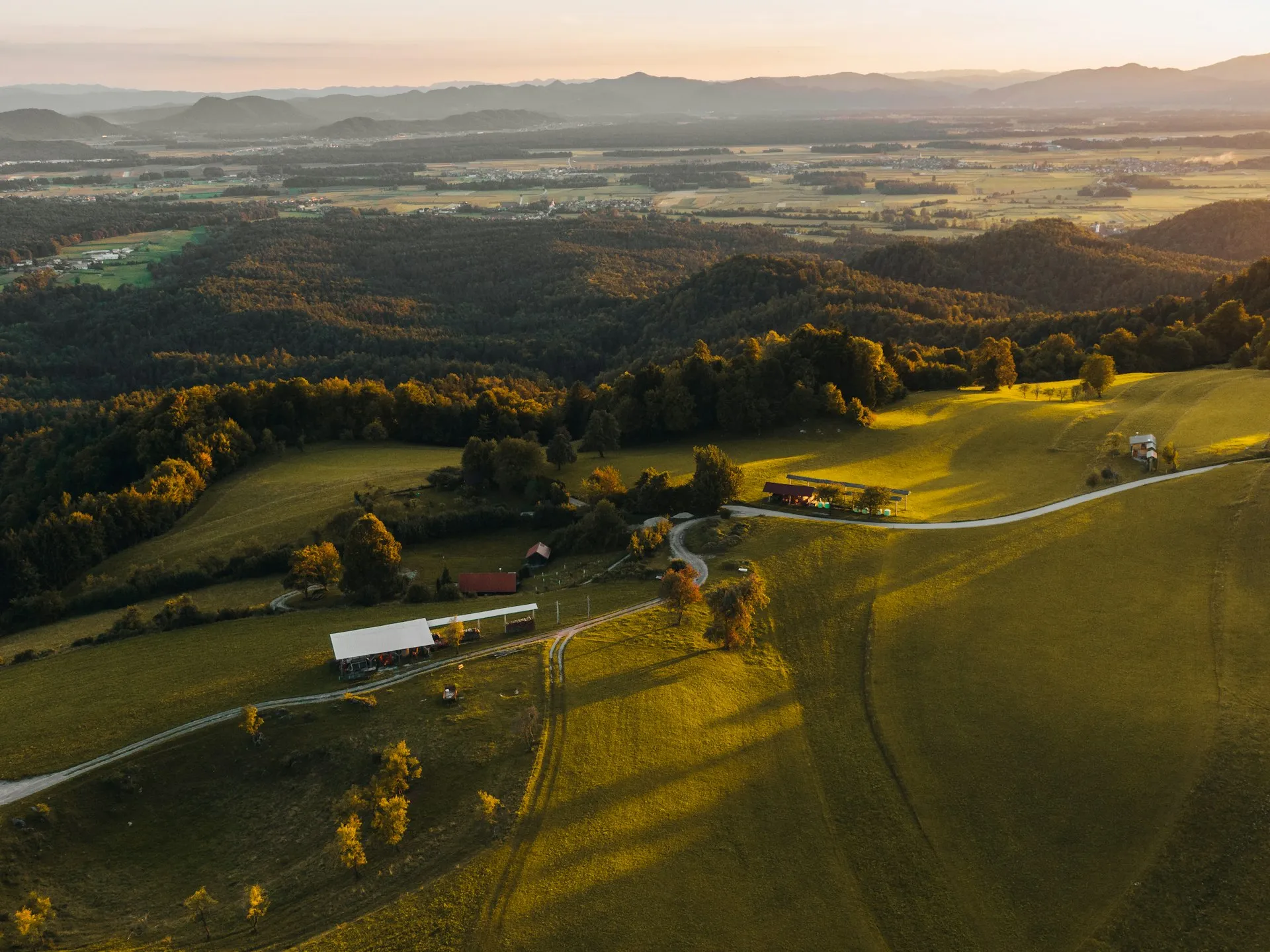 Golden hour light over rolling green hills and farmland